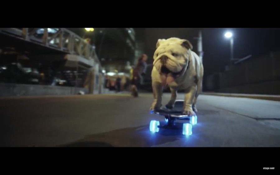 Bulldog Skater Otto - MADE VISIBLE （Parov Stelar feat. Blaktroniks - Let's Roll）