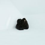 ブラック/ドゥームメタル、サイケ、エレクトロニック…ゴシックSSW「Chelsea Wolfe」、ニューアルバム「Hiss Spun」をリリース